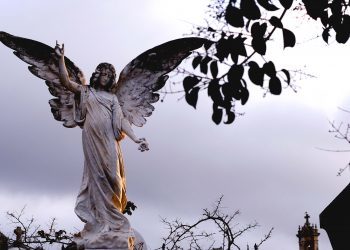 Cementerio de Pereir Miguel Nez 3