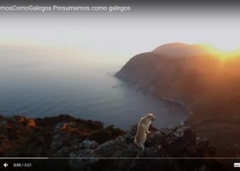 Un can de palleiro protagoniza la nueva entrega del ¡Vivamos como galegos!