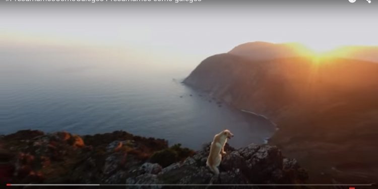 Un can de palleiro protagoniza la nueva entrega del ¡Vivamos como galegos!