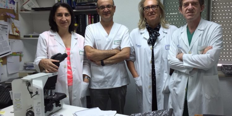 Dos becas de investigación para un estudio sobre el cáncer de vejiga
