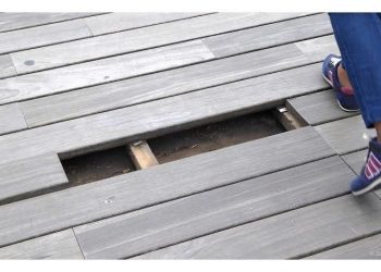 Trampa en la Estación Marítima