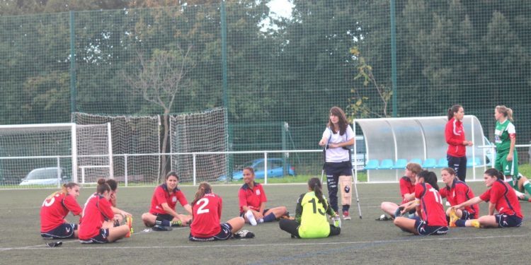 Erizana, el año horrible o el triunfo de saltar al campo