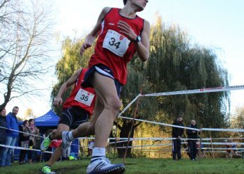 ¿Solo o acompañado?