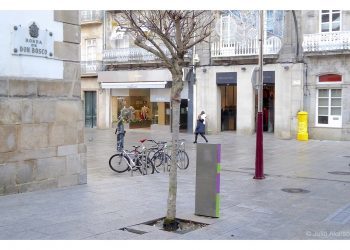 El testimonio de la violencia