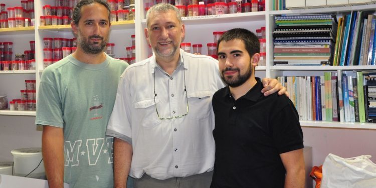 Un estudo identifica 113 especies nos fondos da Ría de Vigo