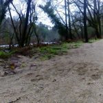 sedateariada 123 Copy