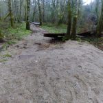 sedateariada 163 Copy