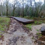 sedateariada 171 Copy