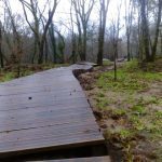 sedateariada 176 Copy