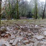 sedateariada 181 Copy