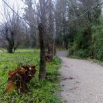 sedateariada 33 Copy