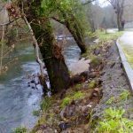 sedateariada 55 Copy