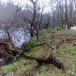 sedateariada 96 Copy