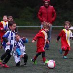 torneodenadal 34 Copy