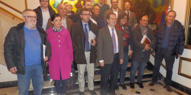 Alcaldes do PP únense ao consenso metropolitano de Vigo