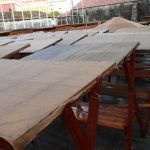 baiona preparativos 17