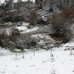 nieve a canhiza 9 Copy