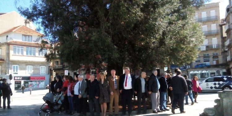 Vigo abraza su símbolo olívico