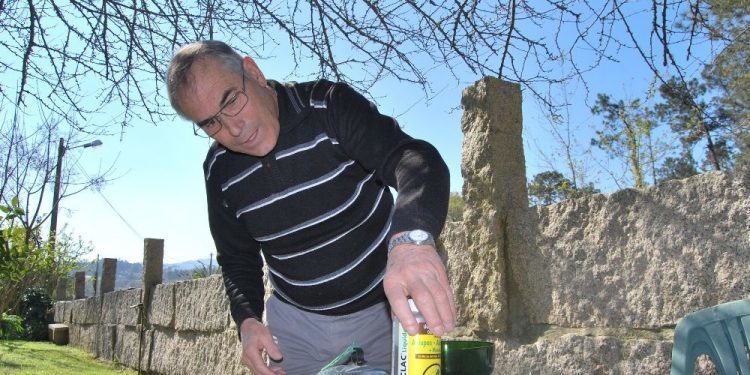 Nigrán coloca trampas contra a avespa asiática