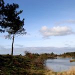 vilanovacervo 82bajo