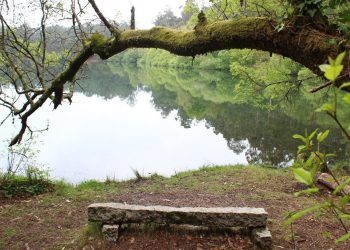 sendeiro zamans 138 Copy