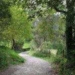 sendeiro zamans 180 Copy