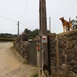 sendeiro zamans 200 Copy