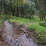 sendeiro zamans 214 Copy