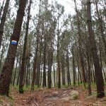 sendeiro zamans 33 Copy