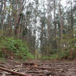 sendeiro zamans 94 Copy