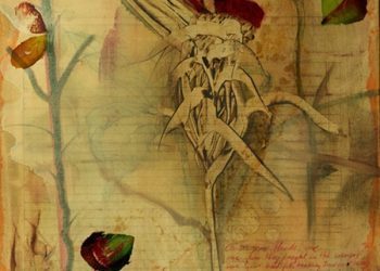 Antonio Murado exhibe su «Intimidad abstraída»