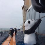 ovation of the seas 3 Copy