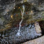 sendeiro bembrive 120 Copy