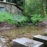 sendeiro bembrive 141 Copy