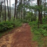 sendeiro bembrive 18 Copy