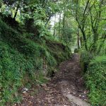 sendeiro bembrive 26 Copy