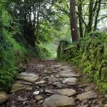 sendeiro bembrive 29 Copy