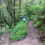 sendeiro bembrive 55 Copy