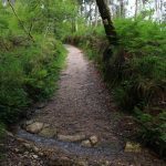 sendeiro bembrive 60 Copy