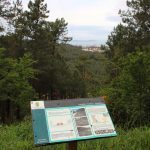 sendeiro bembrive 8 Copy