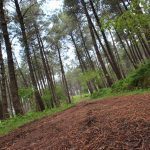 sendeiro bembrive 94 Copy