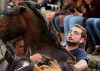 Tradición ancestral y fiesta popular alrededor del caballo