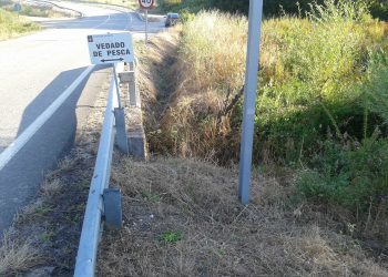 Denuncian o uso de herbicidas que afectan a ríos en Salvaterra