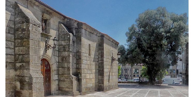 Olivo tricentenario