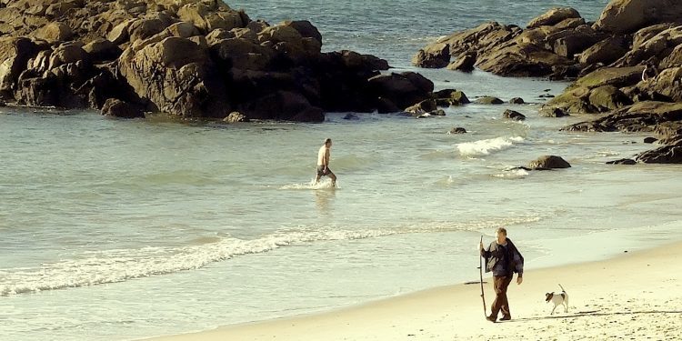 El peregrino perdido