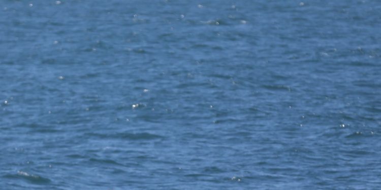 O vento complica as labores de busca do desaparecido en A Guarda