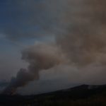 IMG_0951