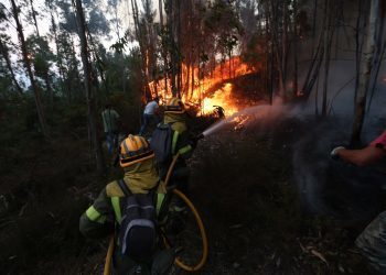 O País está farto de arder ano tras ano