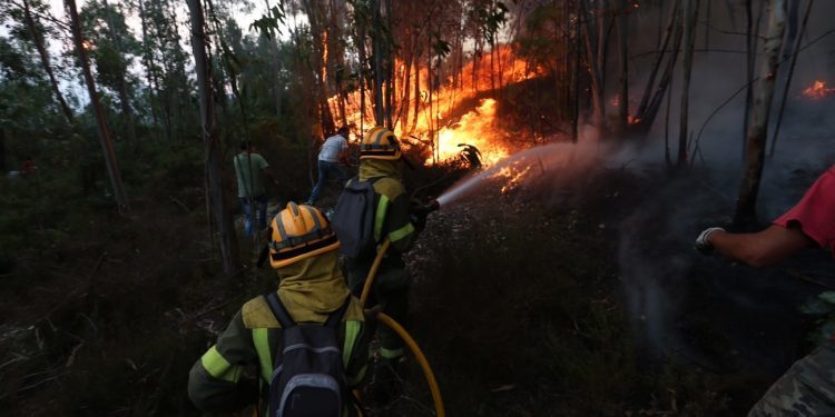 O País está farto de arder ano tras ano