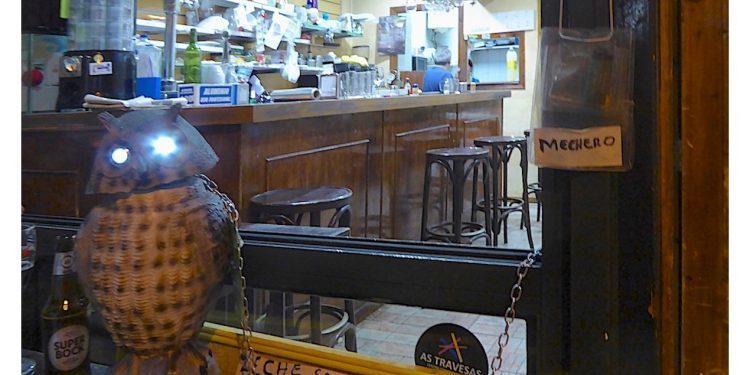 El búho vigila el mechero